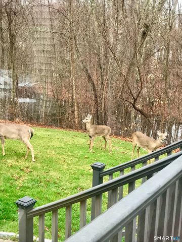 29 Whitney Road, Columbia, CT 06237