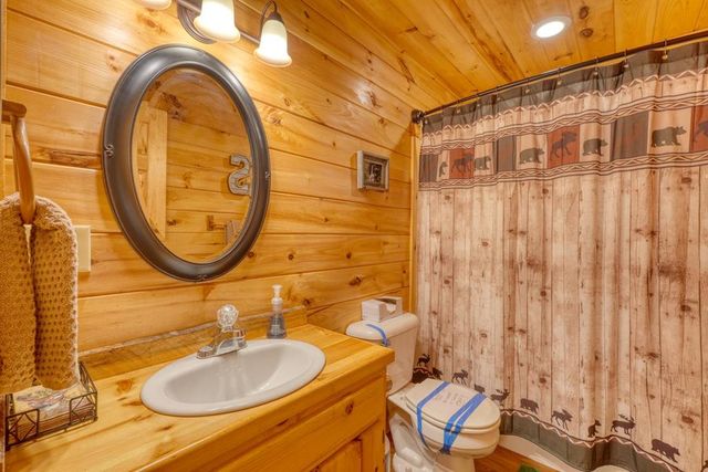 215 The Woods Road, Mineral Bluff, GA 30559