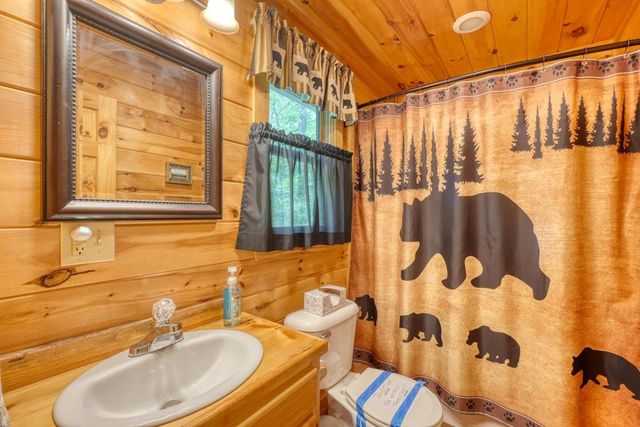 215 The Woods Road, Mineral Bluff, GA 30559
