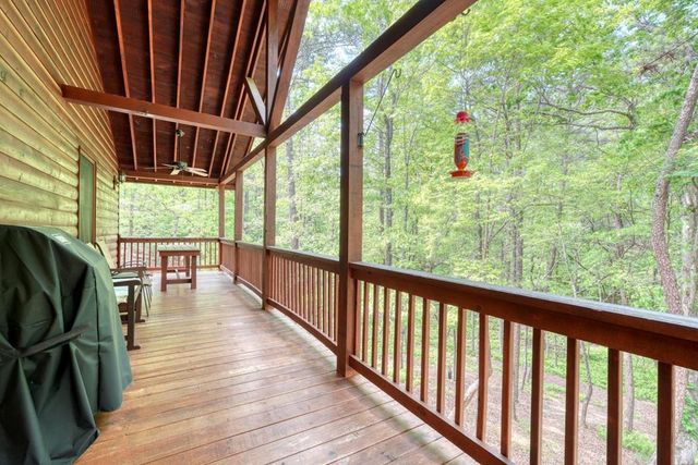 215 The Woods Road, Mineral Bluff, GA 30559