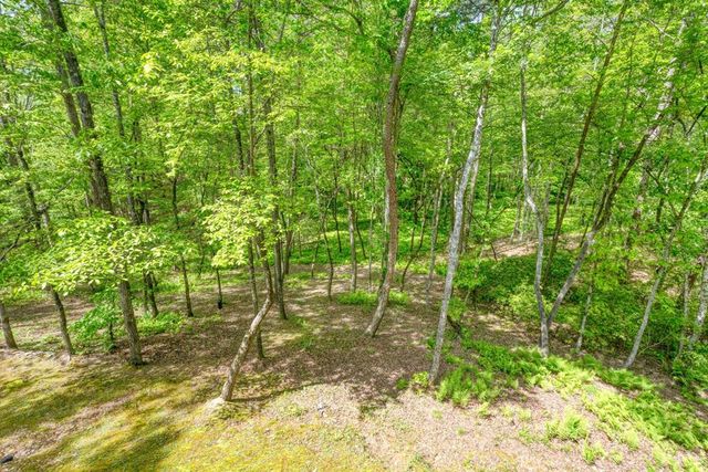 215 The Woods Road, Mineral Bluff, GA 30559