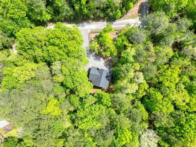 215 The Woods Road, Mineral Bluff, GA 30559
