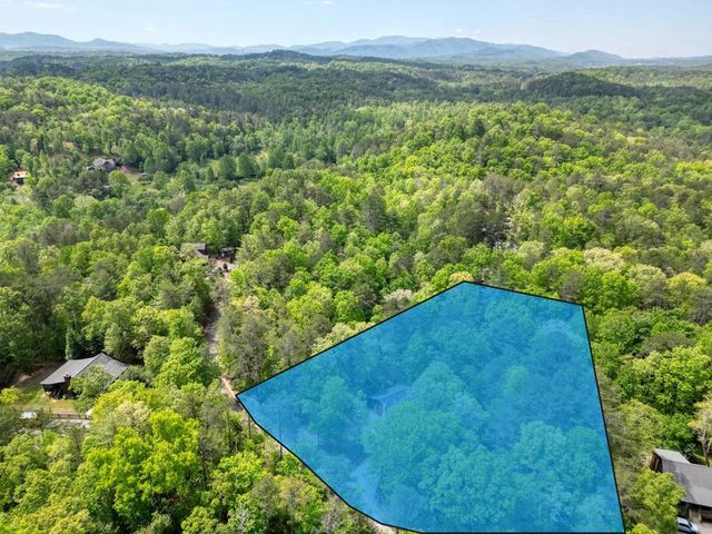 215 The Woods Road, Mineral Bluff, GA 30559