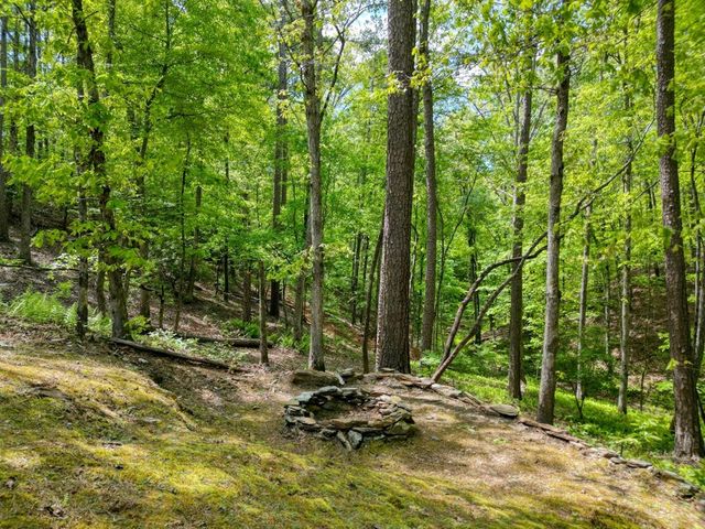 215 The Woods Road, Mineral Bluff, GA 30559