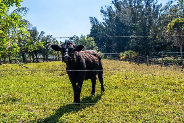 1710 SW 142nd Avenue, Davie, FL 33325