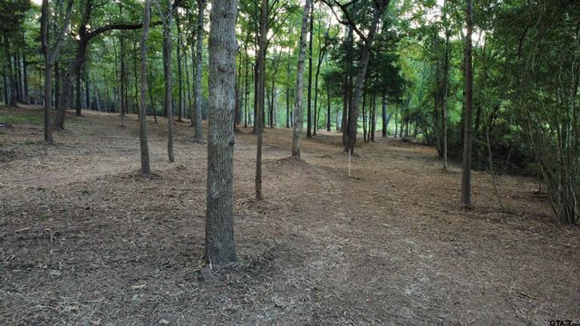 Lot 20-D Eastside Rd, Tyler, TX 75707