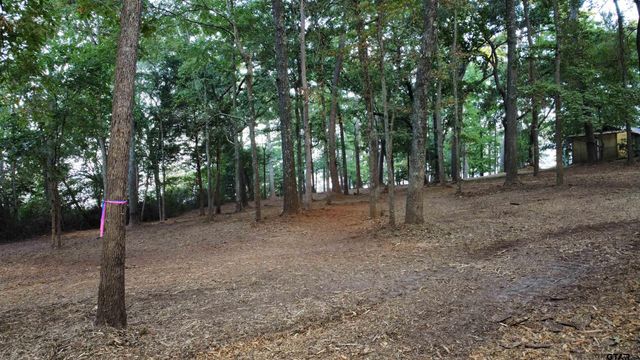 Lot 20-D Eastside Rd, Tyler, TX 75707