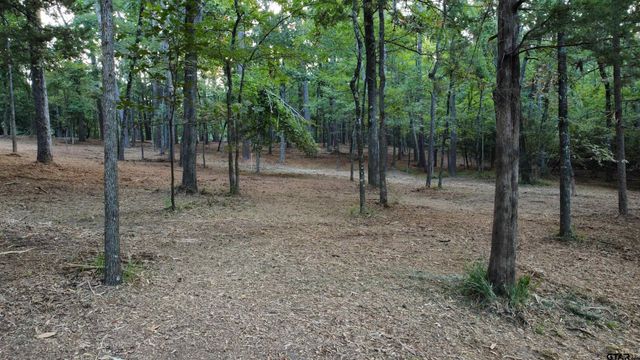 Lot 20-D Eastside Rd, Tyler, TX 75707