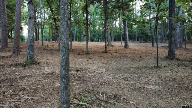 Lot 20-D Eastside Rd, Tyler, TX 75707