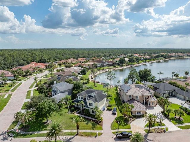 17802 SAINT LUCIA ISLE DRIVE, Tampa, FL 33647