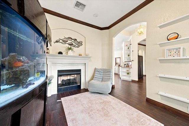 17802 SAINT LUCIA ISLE DRIVE, Tampa, FL 33647