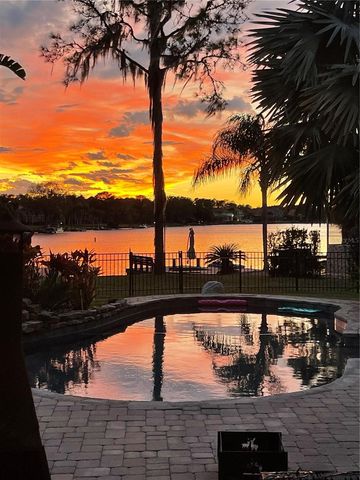 17802 SAINT LUCIA ISLE DRIVE, Tampa, FL 33647