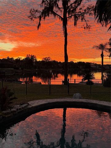 17802 SAINT LUCIA ISLE DRIVE, Tampa, FL 33647