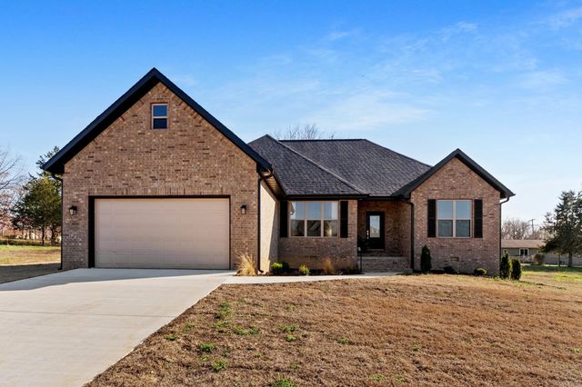 238 S Sheeks Drive, Mountain Home, AR 72653