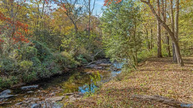 1162 County Road 648, Mentone, AL 35984