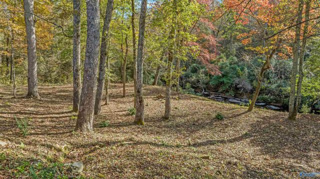 1162 County Road 648, Mentone, AL 35984