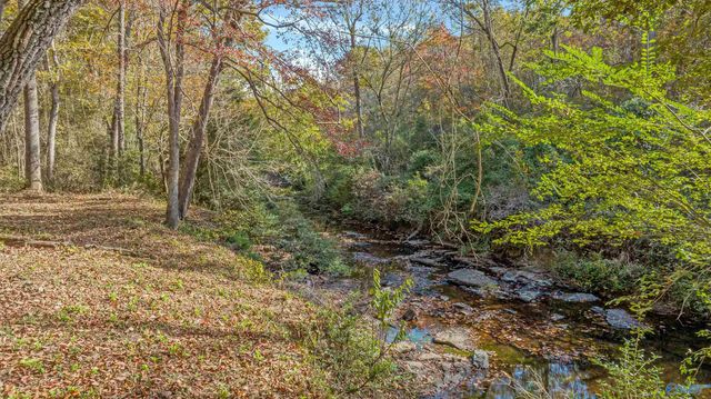 1162 County Road 648, Mentone, AL 35984