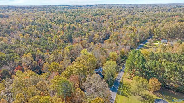 1162 County Road 648, Mentone, AL 35984