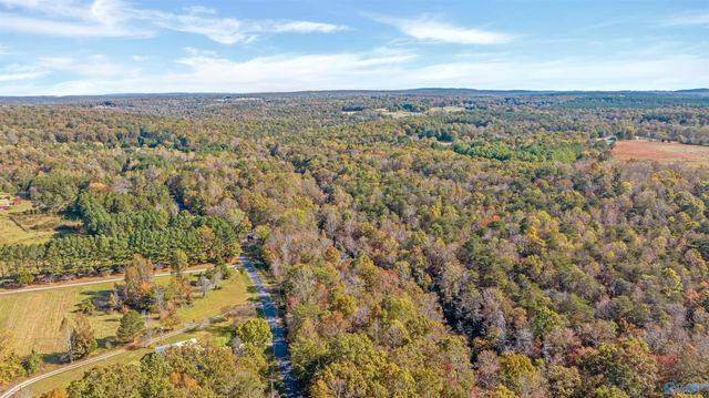 1162 County Road 648, Mentone, AL 35984