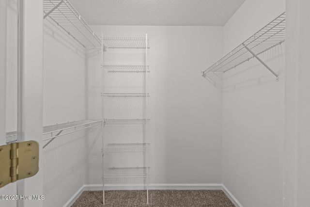 105 Altavista Loop, Jacksonville, NC 28546