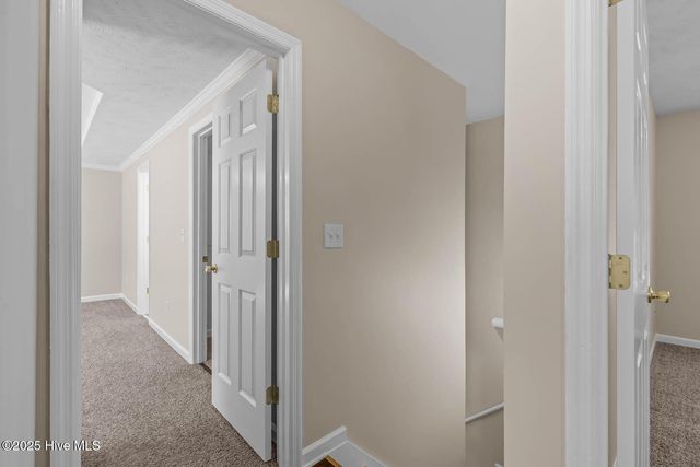 105 Altavista Loop, Jacksonville, NC 28546