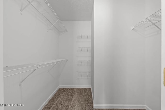 105 Altavista Loop, Jacksonville, NC 28546