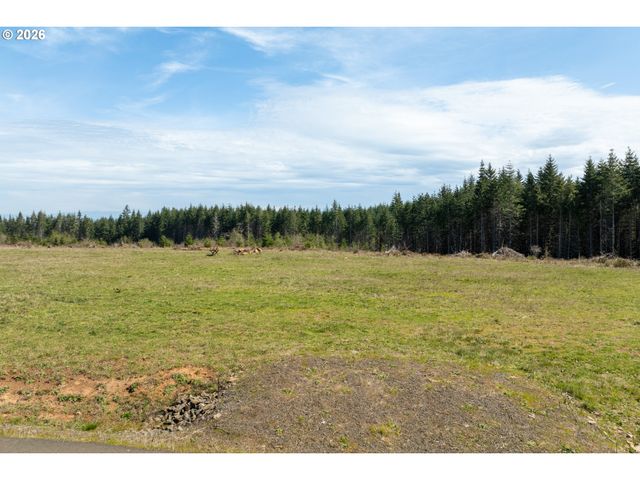 272 Silverwood Dr, Castle Rock, WA 98611