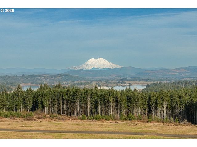 272 Silverwood Dr, Castle Rock, WA 98611