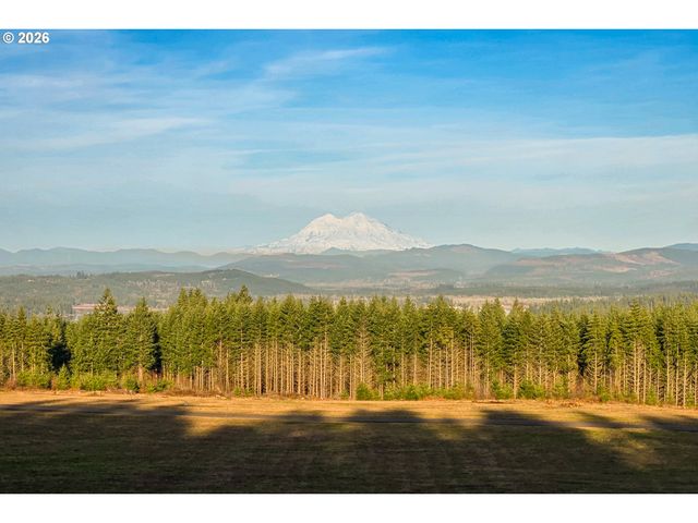 272 Silverwood Dr, Castle Rock, WA 98611