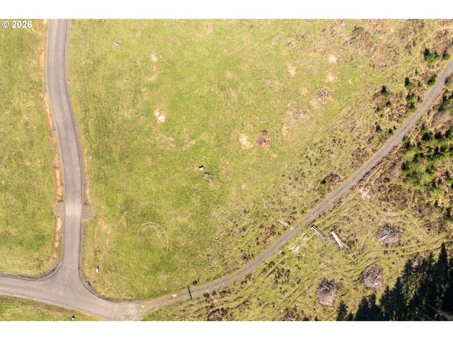 272 Silverwood Dr, Castle Rock, WA 98611
