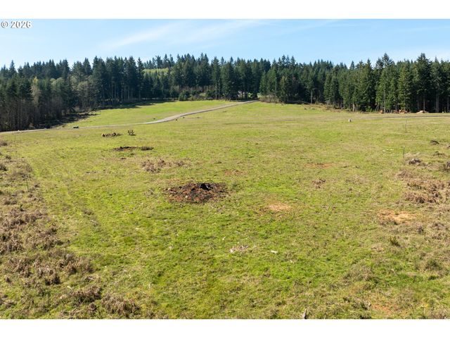 272 Silverwood Dr, Castle Rock, WA 98611