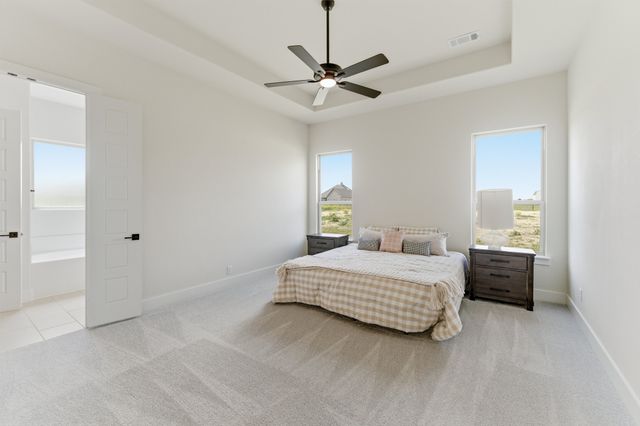 2433 Meteor Drive, Krum, TX 76249