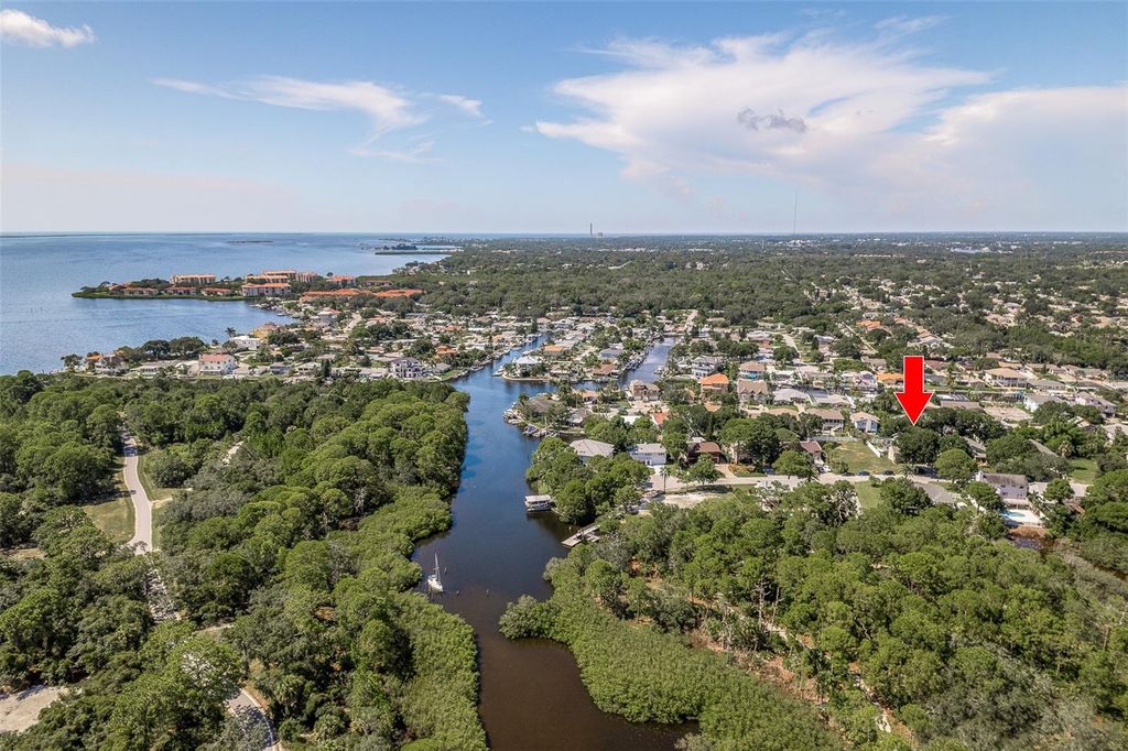 14 BAYWOOD DRIVE, Palm Harbor, FL 34683