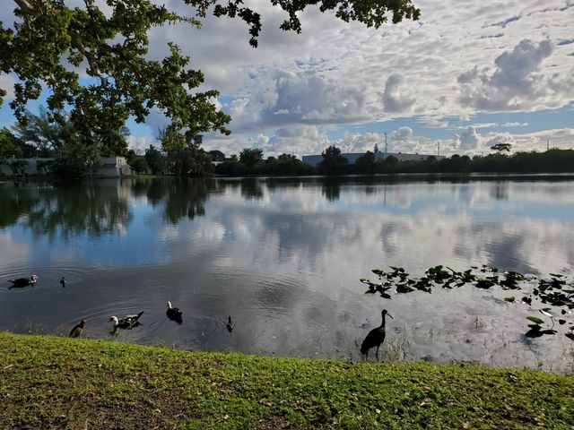 120 Royal Park Dr B4, Oakland Park, FL 33309