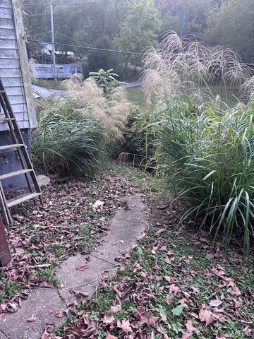 1328 Ely Street, Hannibal, MO 63401