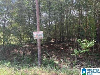 0000 HIDDEN LAKE DRIVE, Empire, AL 35063