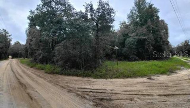 TBD NE 120TH STREET, Bronson, FL 32621