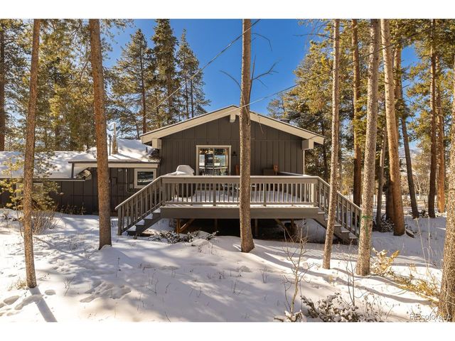 382 County Road 837, Fraser, CO 80442