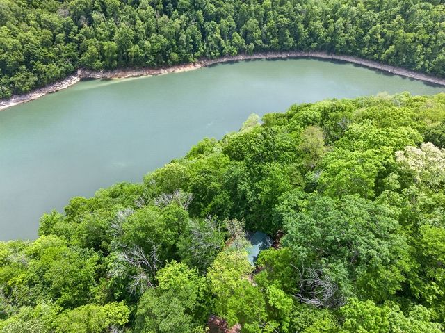 8045 Sarah Thomas Rd, Silver Point, TN 38582