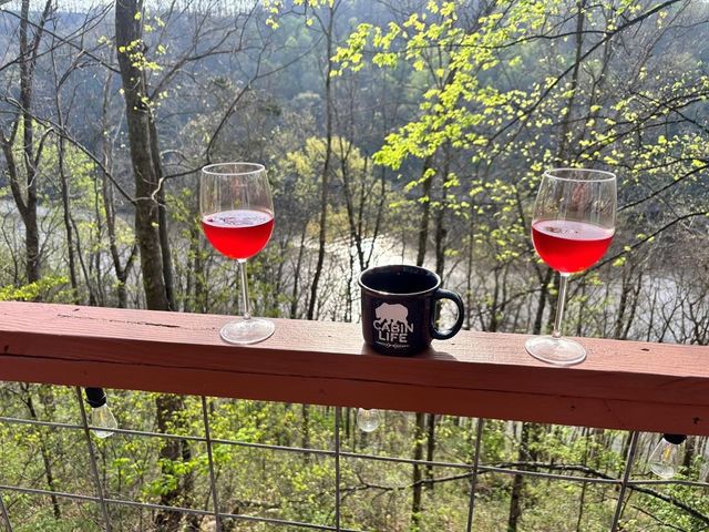 8045 Sarah Thomas Rd, Silver Point, TN 38582