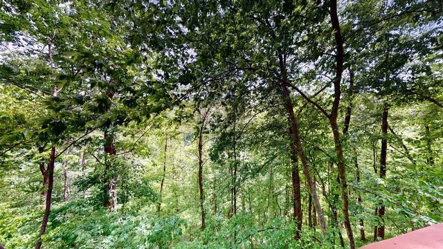 8045 Sarah Thomas Rd, Silver Point, TN 38582