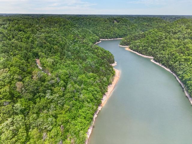 8045 Sarah Thomas Rd, Silver Point, TN 38582