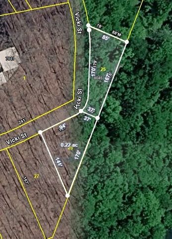 8045 Sarah Thomas Rd, Silver Point, TN 38582