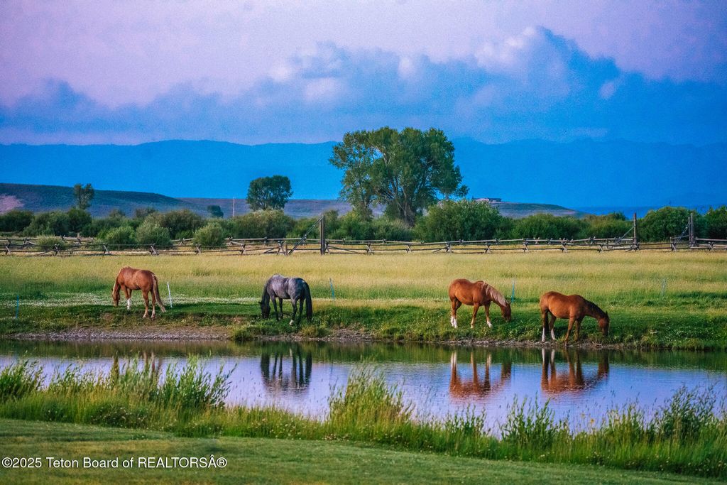 491 STATE HWY 354, Daniel, WY 83115 photo 2
