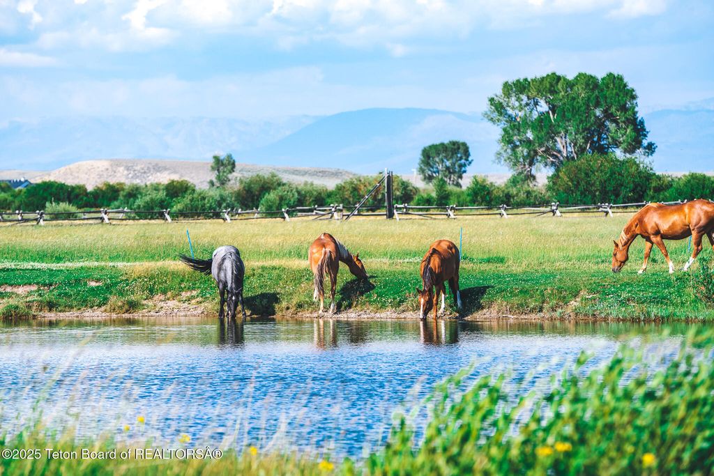 491 STATE HWY 354, Daniel, WY 83115 photo 33
