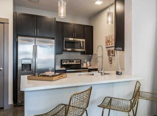 1111 N Durham Drive 419, Houston, TX 77008