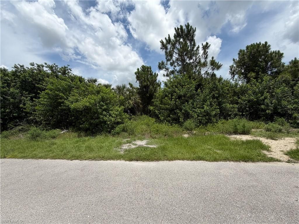 4609 Connie AVE S, LEHIGH ACRES, FL 33976 — photo 2