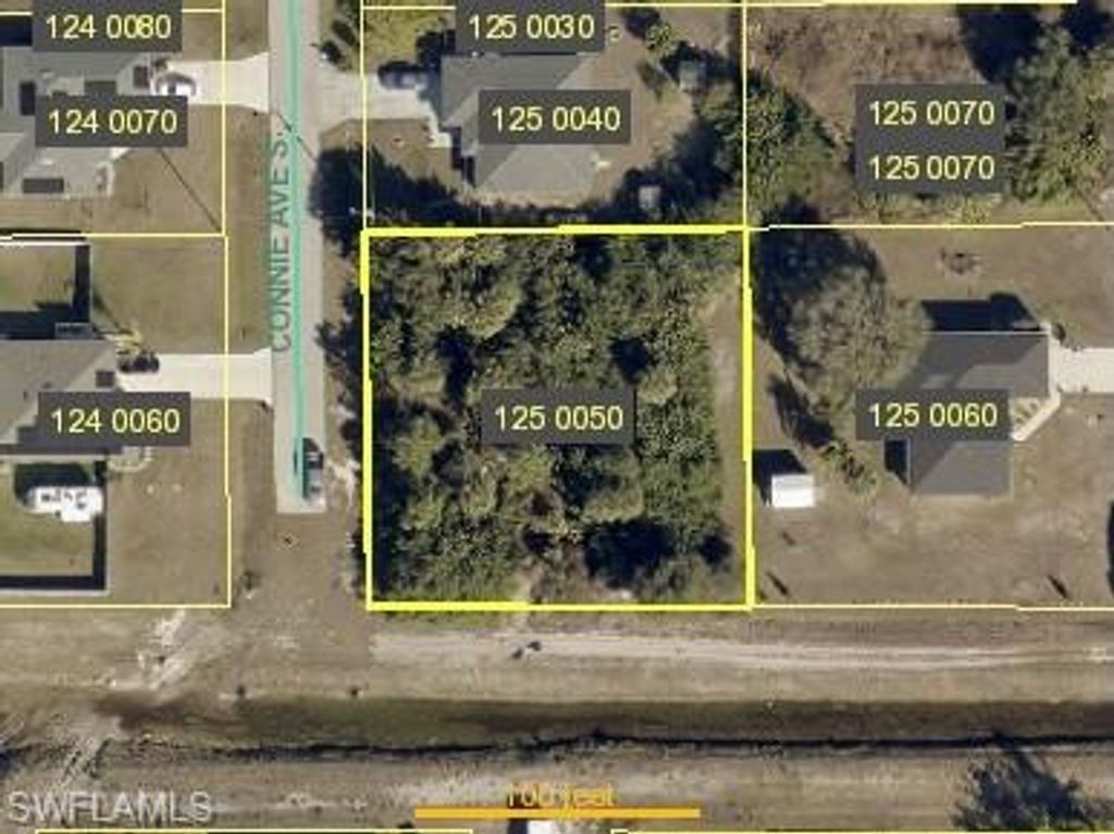 4609 Connie AVE S, LEHIGH ACRES, FL 33976 — photo 3