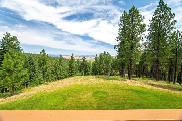 19918 E Pheasant Dr, Greenacres, WA 99016