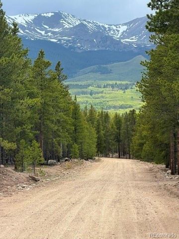 833 Peak View Drive, Twin Lakes, CO 80461